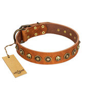 (image for) "Prez of the Pack" FDT Artisan Tan Leather American Bulldog Collar with Skulls and Brooches
