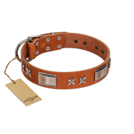 (image for) "Sweet Biscuit" FDT Artisan Tan Leather Dog Collar with Stars and Plates