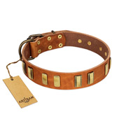 (image for) "Olive Slice" FDT Artisan Tan Leather American Bulldog Collar with Engraved and Smooth Plates