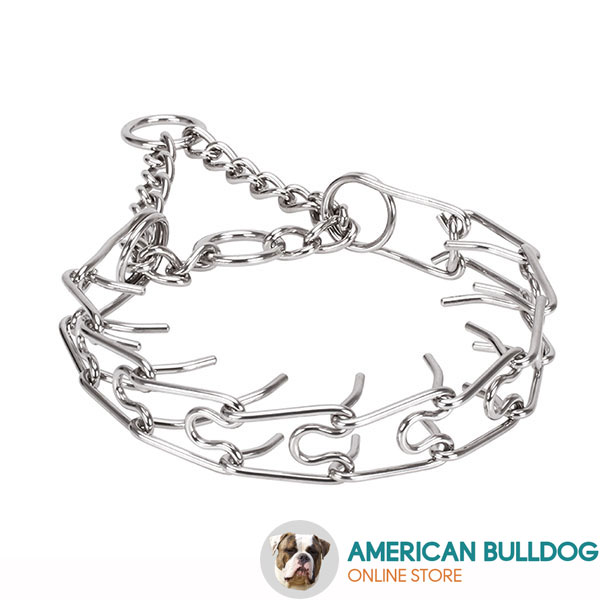 Rust resistant stainless steel dog prong collar with removable prongs