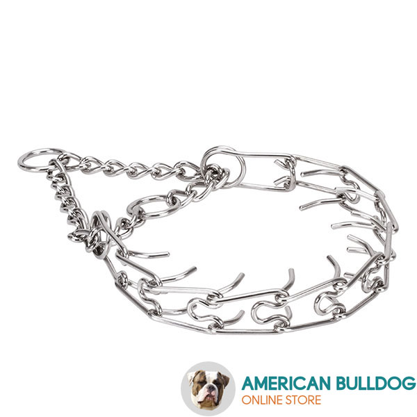 Corrosion proof stainless steel pinch collar for aggressive dogs