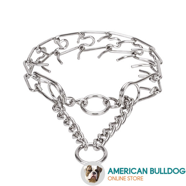 Durable stainless steel dog pinch collar with corrosion proof removable prongs