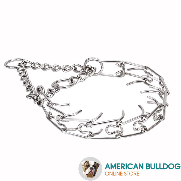 Stainless steel prong collar for ill behaved dogs
