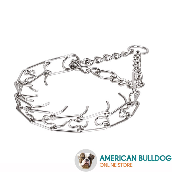Durable stainless steel O-ring for attaching a leash on prong collar