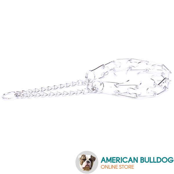 Chrome plated dog pinch collar for ill behaved dogs