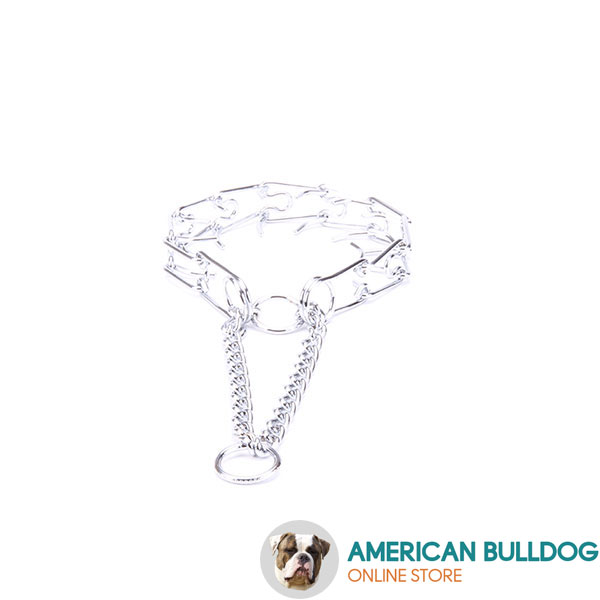Dog prong collar chrome plated for obedience training dogs