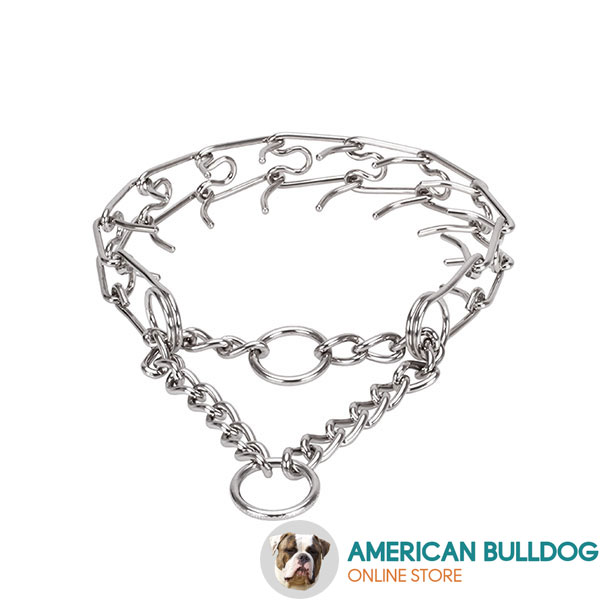 Pinch collar of corrosion resistant stainless steel for poorly behaved dogs