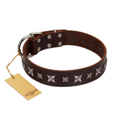 (image for) "Stellar Fairy " FDT Artisan Brown Leather American Bulldog Collar with Chrome-plated Star-like Decorations
