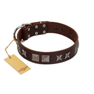 (image for) "Needle Stories" Modern FDT Artisan Brown Leather American Bulldog Collar with Square Engraved Plates and Four-Point Stars