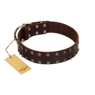 (image for) "Star Party" Handmade FDT Artisan Brown Leather American Bulldog Collar with Silver-Like Studs