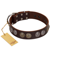 (image for) "Treasure Hunter" FDT Artisan Brown Leather American Bulldog Collar with Old-Bronze-like and Silvery Medallions