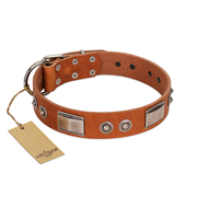 (image for) "Pawsy Glossy" FDT Artisan Exclusive Tan Leather American Bulldog Collar 1 1/2 inch (40 mm) wide