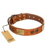 (image for) "Bronze Century" FDT Artisan Tan Leather American Bulldog Collar with Plates and Brooches with Cool Ornament