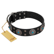 (image for) "Boundless Blue" FDT Artisan Black Leather American Bulldog Collar with Chrome Plated Brooches and Square Studs
