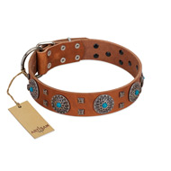(image for) "Blue Sands" FDT Artisan Tan Leather American Bulldog Collar with Silver-like Studs and Round Conchos with Stones