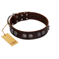 (image for) "King Arthur" FDT Artisan Brown Leather American Bulldog Collar with Spiky Plates