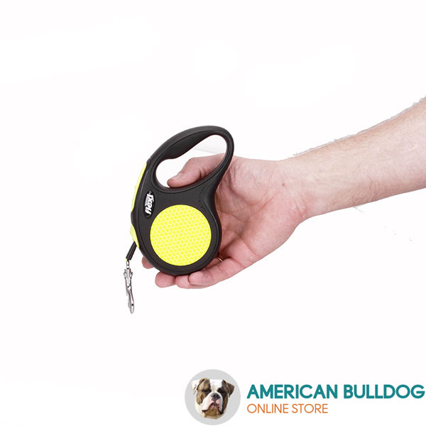 Convenient Handle on Walking Dog Retractable Leash