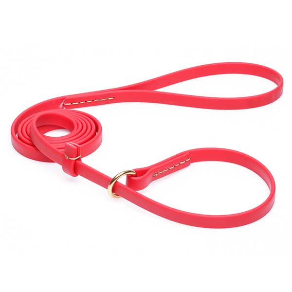 Durable Red Biothane American Bulldog Leash and Collar Combo [L64R1095