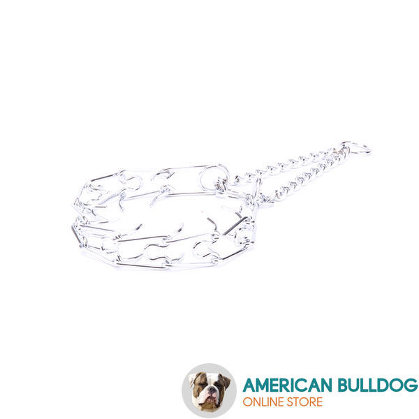 Finest quality chrome plated pinch collar for obedience training