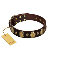 (image for) "Natural Grace" FDT Artisan Handmade Decorated Brown Leather American Bulldog Collar