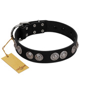 (image for) "Magic Amulete" Handcrafted FDT Artisan Black Leather American Bulldog Collar with Chrome-Plated Shields