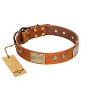 (image for) "Ancient Treasures" FDT Artisan Tan Leather American Bulldog Collar with Antiqued Plates and Studs