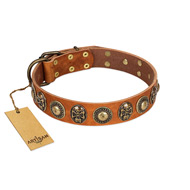 (image for) "Golden Epoch" FDT Artisan Tan Leather American Bulldog Collar with Old Bronze-plated Medallions and Conchos