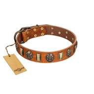 (image for) "Strike of Rock" FDT Artisan Tan Leather American Bulldog Collar with Plates and Medallions with Skulls