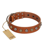 (image for) "Dogue-Vogue" FDT Artisan Tan Leather American Bulldog Collar with Engraved Chrome-plated Studs