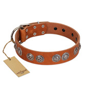 (image for) "Woofy Majesty" FDT Artisan Tan Leather American Bulldog Collar with Round Silver-like Plates
