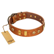 (image for) "Egyptian Script" FDT Artisan Tan Leather American Bulldog Collar with Plates and Small Studs