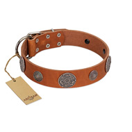 (image for) "Foxy Nature" FDT Artisan Tan Leather American Bulldog Collar with Chrome Plated Brooches