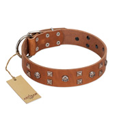 (image for) "Enchanted Skulls" FDT Artisan Tan Leather American Bulldog Collar with Chrome Plated Skulls