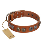 (image for) "Luxurious Life" Premium Quality FDT Artisan Tan Leather American Bulldog Collar with Round Adornments