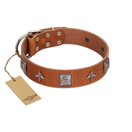 (image for) "Lucky Star" FDT Artisan Tan Leather American Bulldog Collar with Silver-Like Embellishments