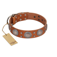 (image for) "Far Star" FDT Artisan Tan Leather American Bulldog Collar with Engraved Studs