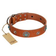 (image for) "Marine Antiques" Handmade FDT Artisan Tan Leather American Bulldog Collar with Blue Stones