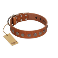 (image for) "Lucky Star" Handmade FDT Artisan Designer Tan Leather American Bulldog Collar with Round Plates