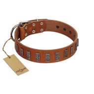 (image for) "Silver Century" Fashionable FDT Artisan Tan Leather American Bulldog Collar with Silver-Like Plates