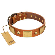 (image for) "Mutt The Daredevil" FDT Artisan Tan Leather American Bulldog Collar with Old Bronze-like Skulls and Plates