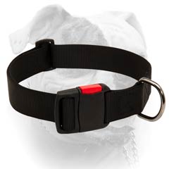 American Bulldog collar high-grade quality