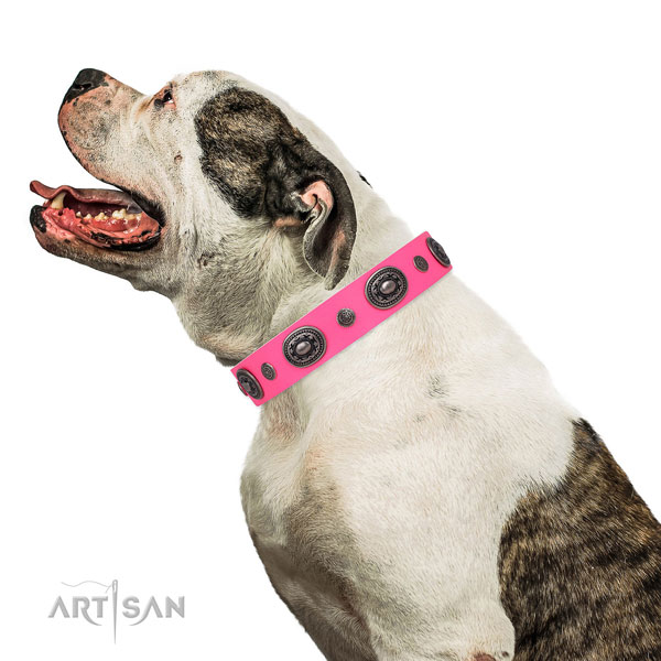 Genuine leather dog collar with rust resistant buckle and D-ring for easy wearing