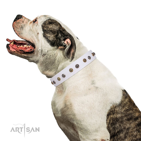 Easy wearing adorned dog collar made of top notch natural leather
