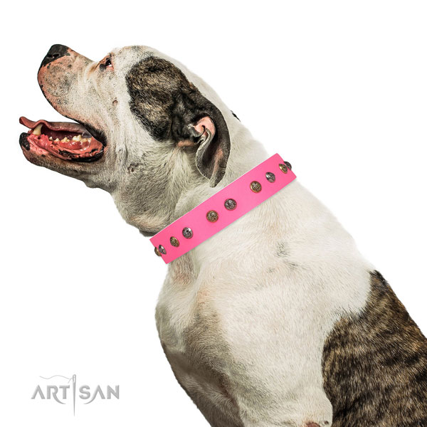 Daily walking decorated dog collar made of durable leather