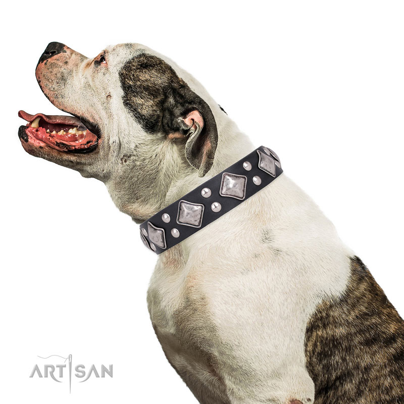 Decorated Black Leather Dog Collar Smart Geometry Decor by Artisan C233