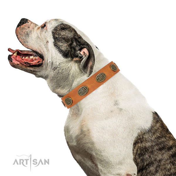 Stylish design studs on easy wearing natural genuine leather dog collar