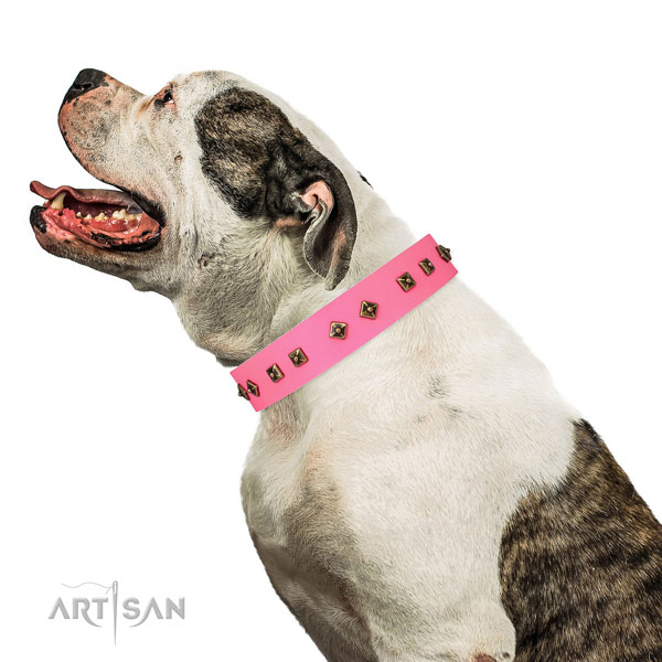 Exquisite adornments on daily use dog collar
