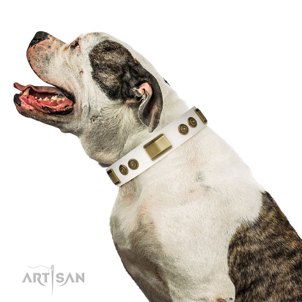 Strong comfortable wearing dog collar of natural leather