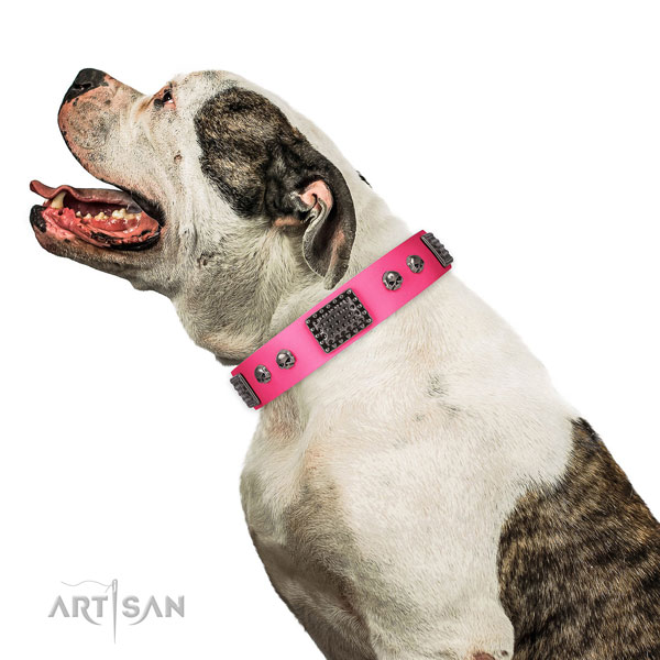Remarkable leather collar for your attractive four-legged friend