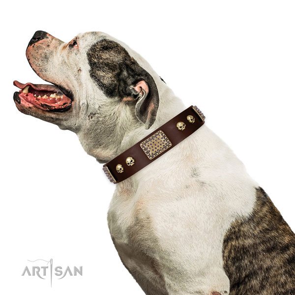 Rust-proof fittings on full grain leather dog collar for daily use